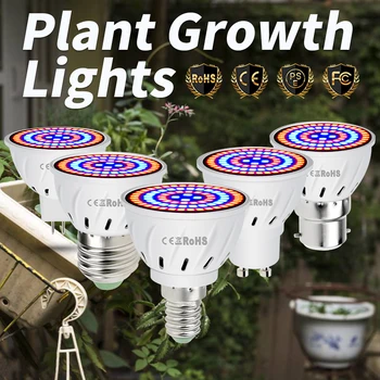 Светодиодная лампа для выращивания фитолампы, лампы для гидропоники для тепличных растений, прожектор для выращивания рассады цветов в помещении, коробка для выращивания палатки  5